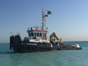 Image of Sea Barracuda